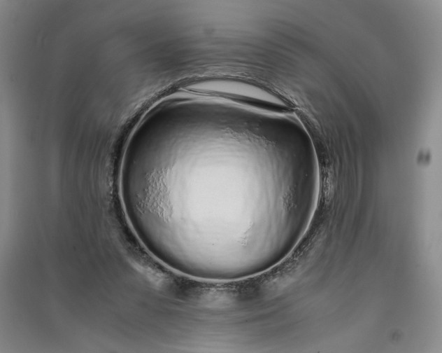 X0000091100303200708201527