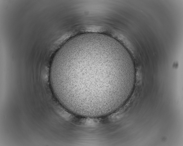 X0000091100305200708201527