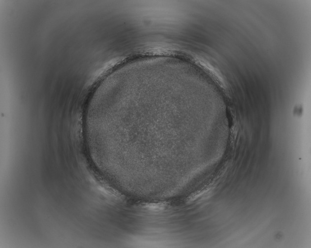 X0000091100306200708201527