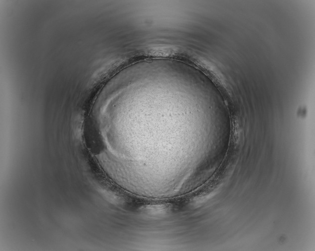 X0000091100307200708201527