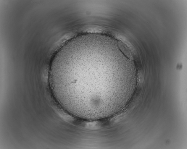 X0000091100309200708201527