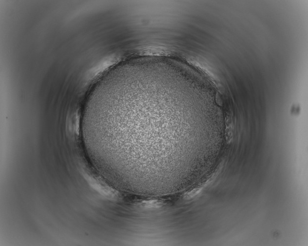 X0000091100310200708201527