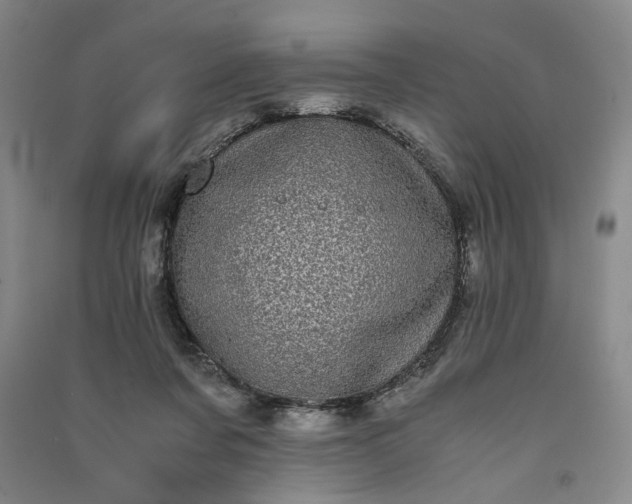 X0000091100311200708201527