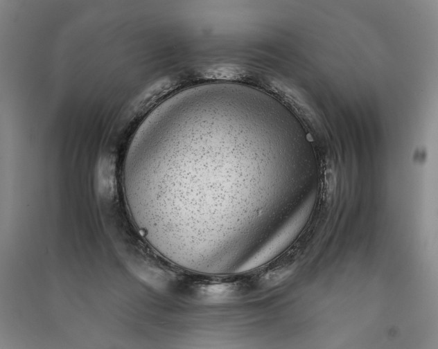 X0000091100312200708201527