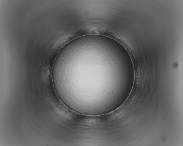 X0000091100314200708201527