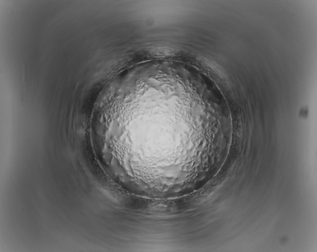 X0000091100315200708201527