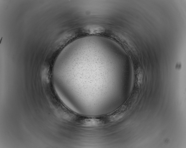 X0000091100316200708201527