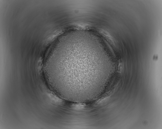 X0000091100318200708201527