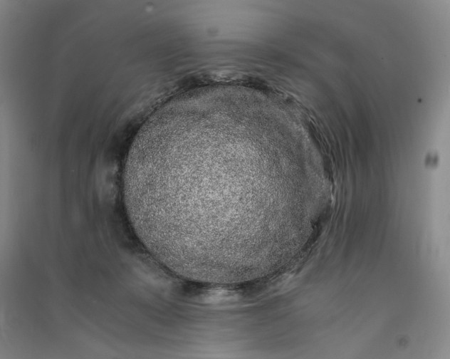 X0000091100319200708201527