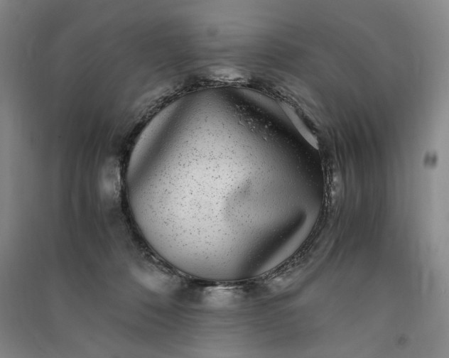 X0000091100320200708201527