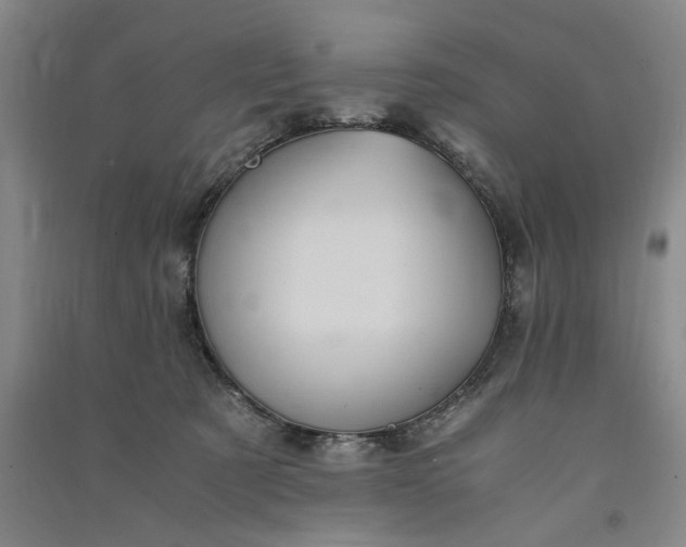 X0000091100321200708201527