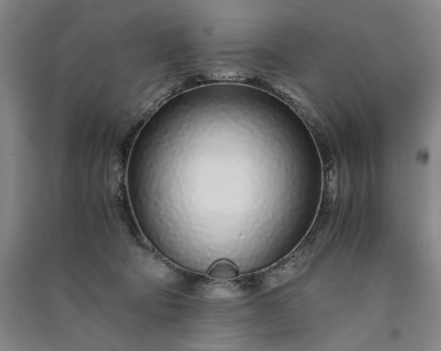 X0000091100322200708201527