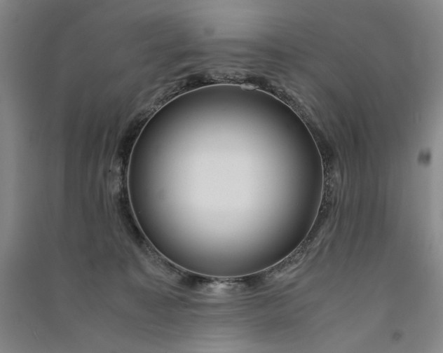 X0000091100323200708201527