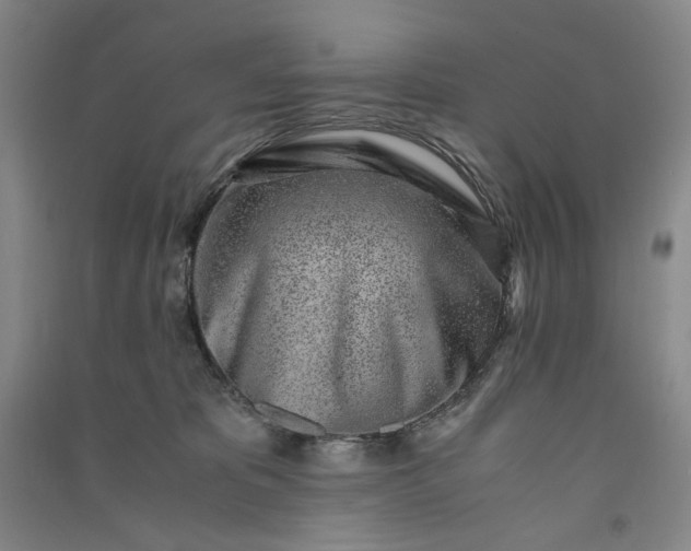 X0000091100325200708201527