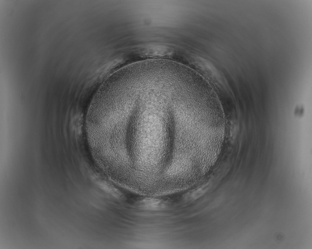 X0000091100326200708201527