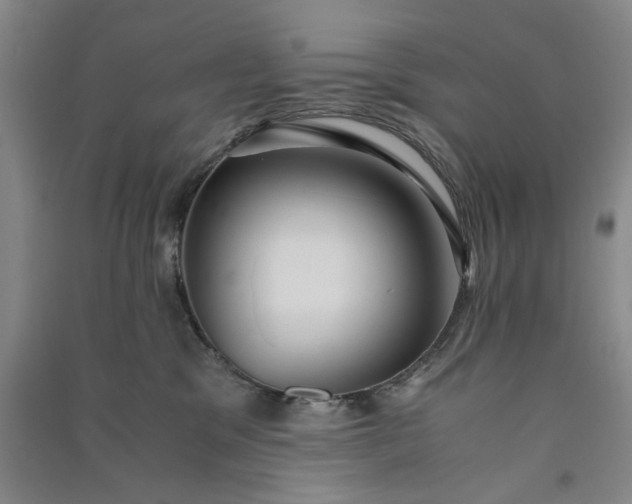 X0000091100329200708201527