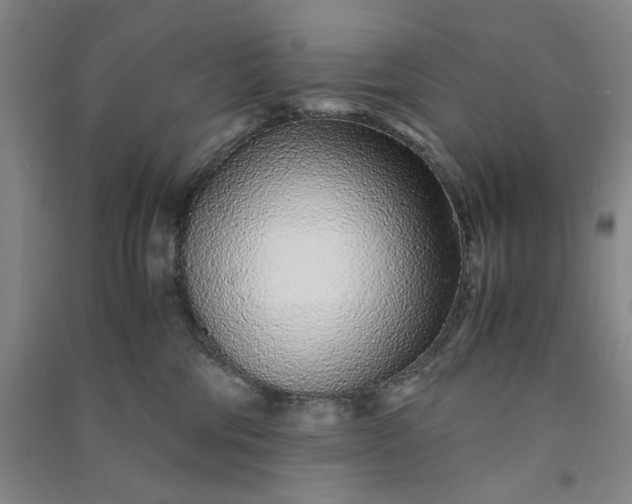 X0000091100330200708201527