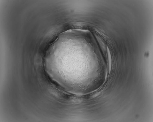 X0000091100331200708201527