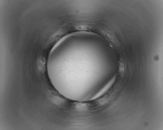 X0000091100332200708201527