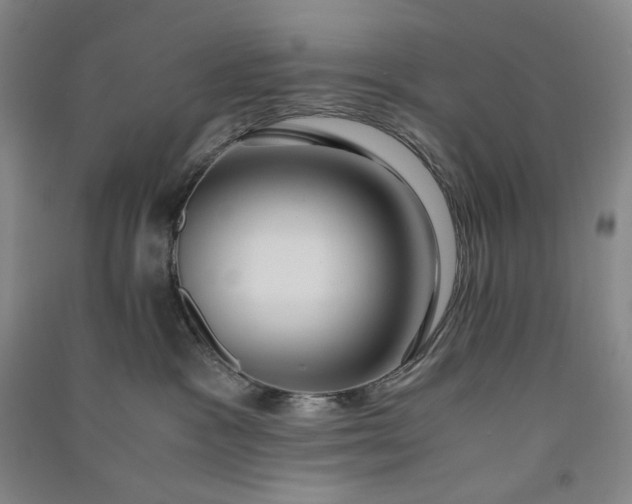 X0000091100333200708201527