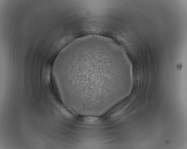 X0000091100334200708201527