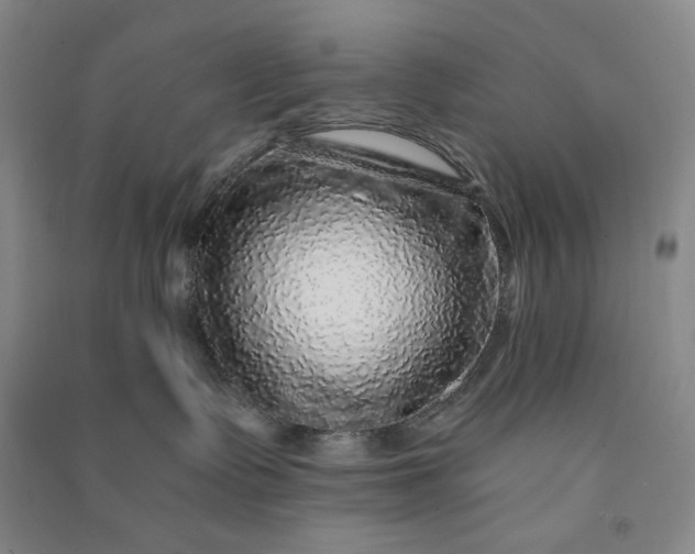 X0000091100335200708201527