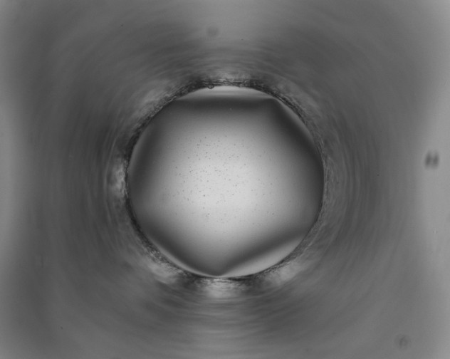 X0000091100336200708201527