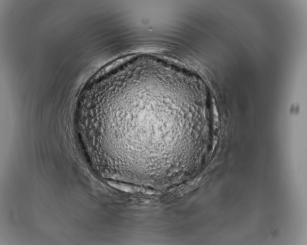 X0000091100337200708201526