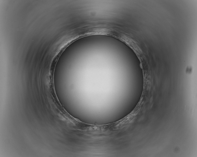 X0000091100338200708201526