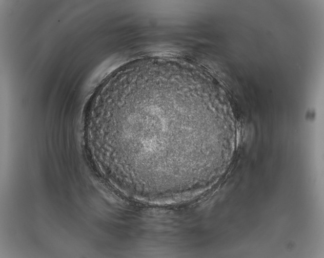 X0000091100339200708201526