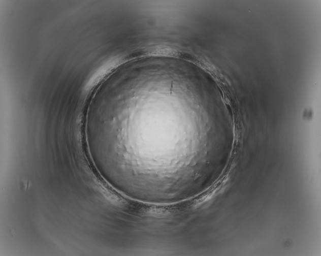 X0000091100341200708201526