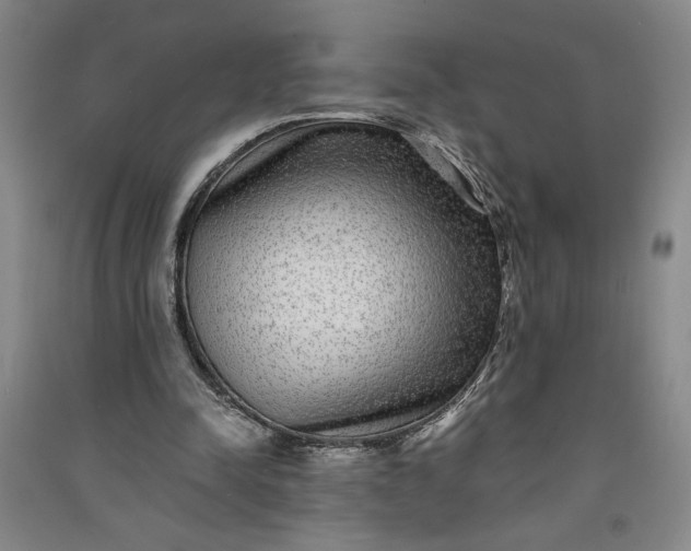 X0000091100342200708201526