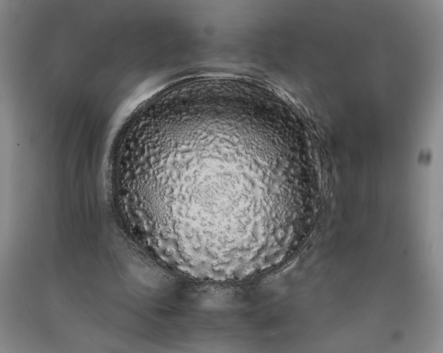 X0000091100343200708201526