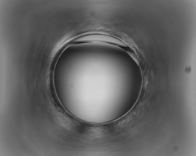 X0000091100344200708201526