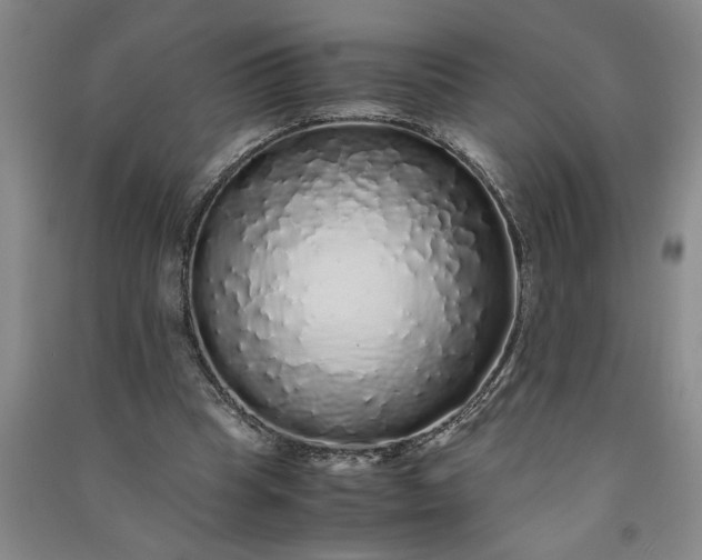 X0000091100345200708201526