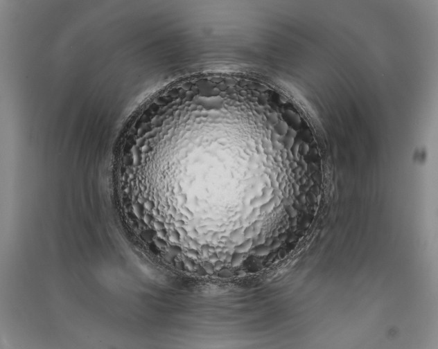 X0000091100346200708201526