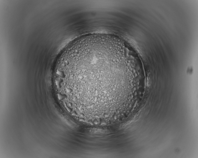 X0000091100347200708201526