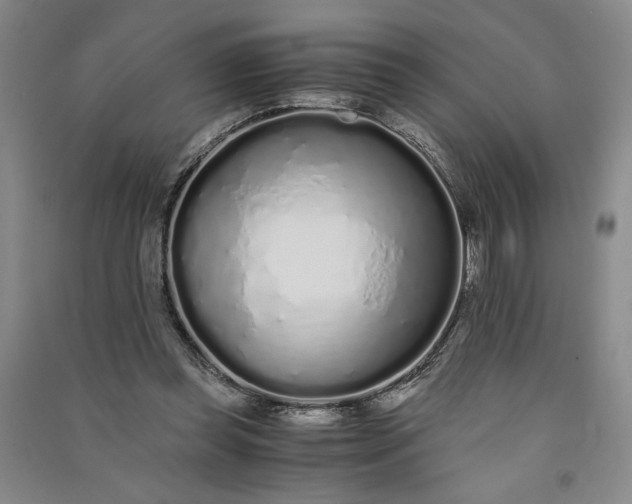 X0000091100349200708201526