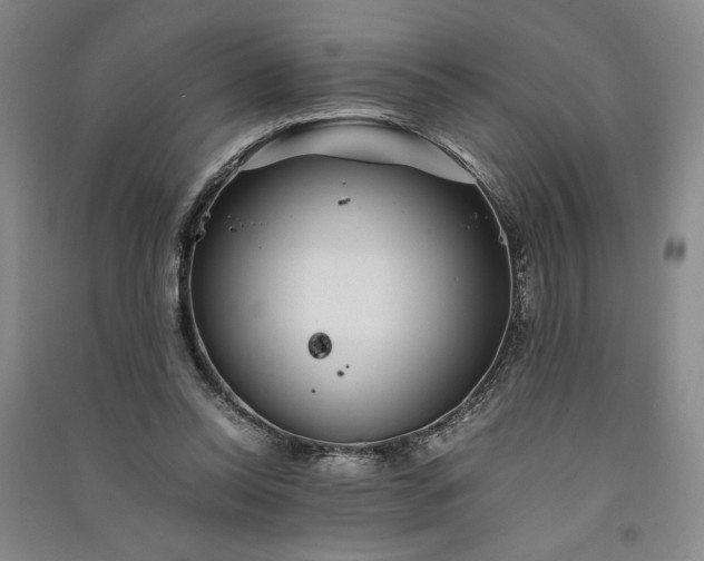 X0000091100350200708201526