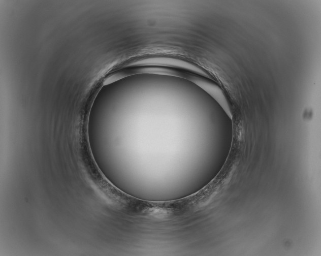 X0000091100352200708201526