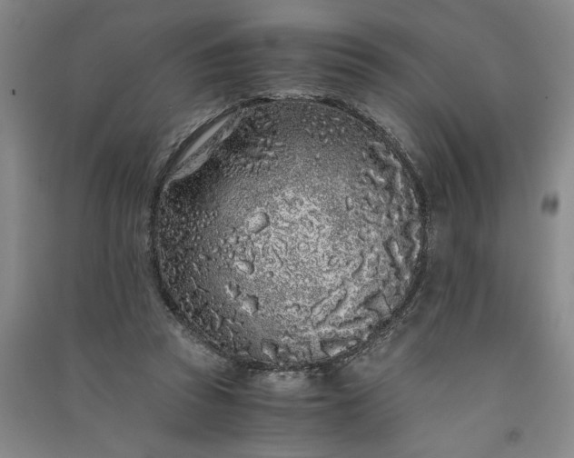 X0000091100353200708201526