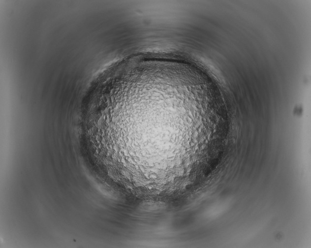 X0000091100354200708201526