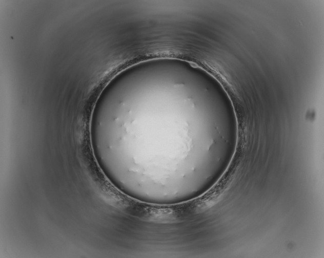 X0000091100355200708201526