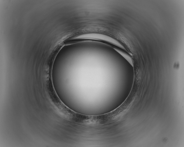 X0000091100356200708201526