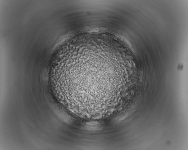 X0000091100357200708201526