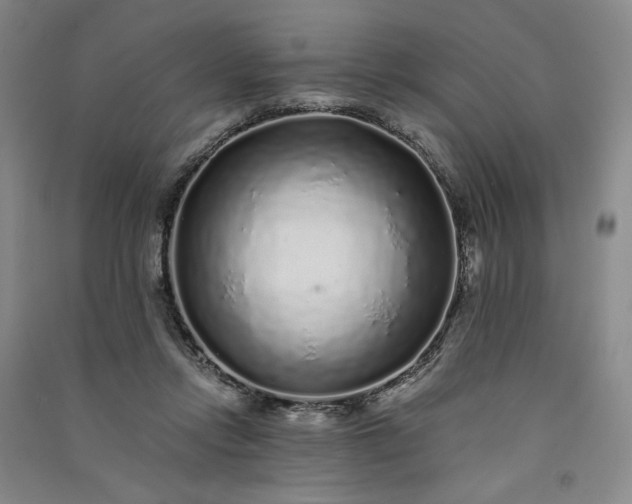 X0000091100358200708201526