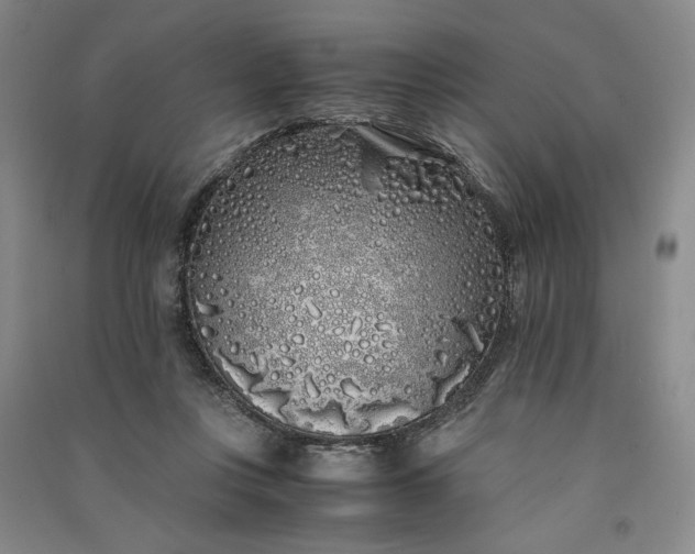 X0000091100359200708201526