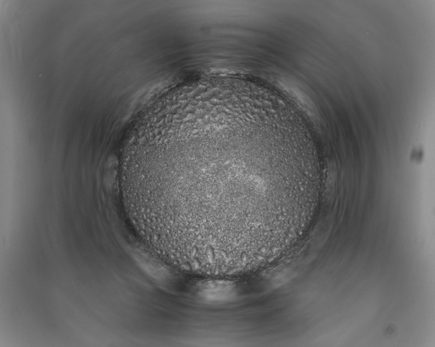 X0000091100361200708201526