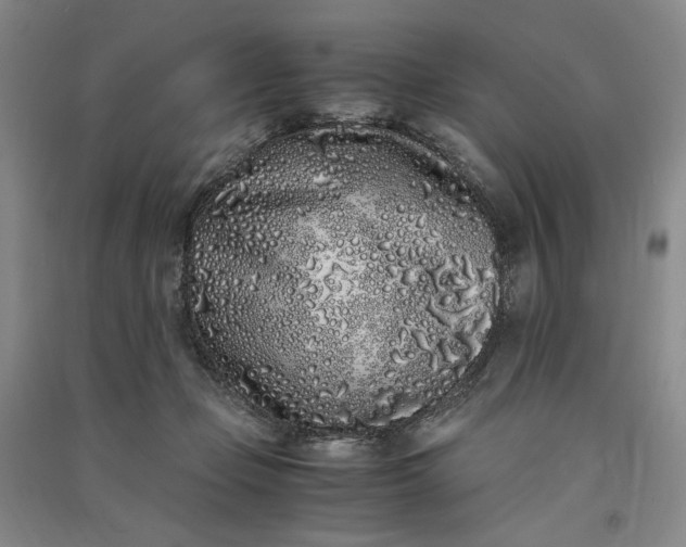 X0000091100365200708201526