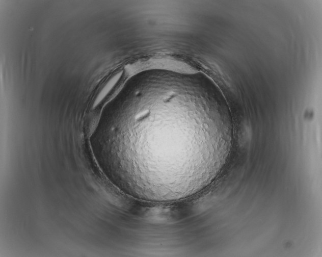 X0000091100366200708201526